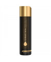 Sebastian Professional Dark Oil Lightweight Conditioner Lightweight Hair Conditioner 250ml