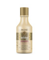 INOAR Daymoist Conditioner - conditioner for chemically treated hair 250 ml