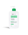 Face facts foaming ceramide cleanser 400ml.